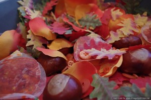 Autumn sensory box Autumn sensory box