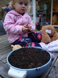 terrine come plantpot terrine into plantpot