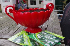 Upcycled crockery planter Upcycled crockery planter