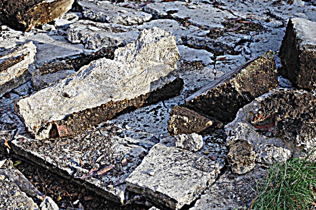 cracks the cracks in the pavement