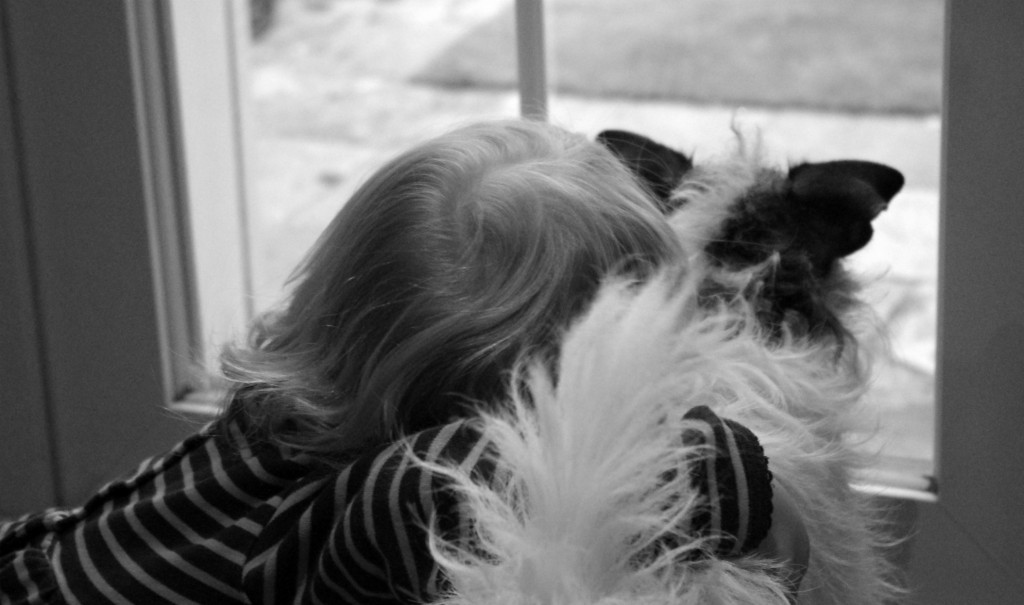 dogs life For the love of dog