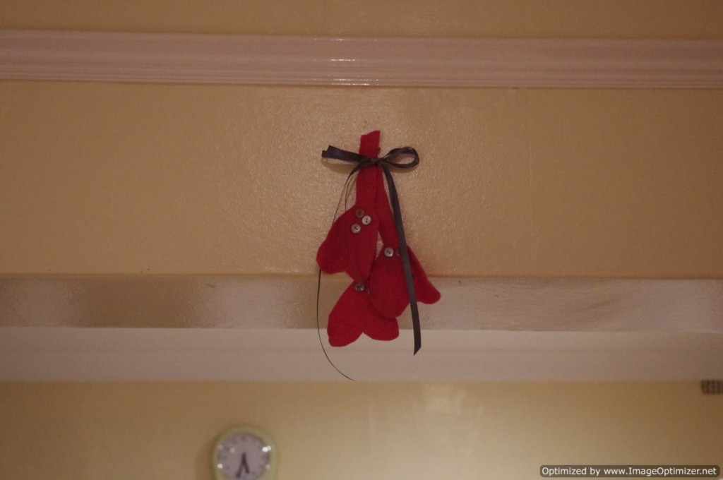 mistletoe for Valentines Day or kissletoe