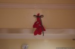mistletoe for Valentines Day or kissletoe