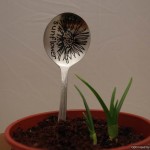 upcycled spoons into plant markers