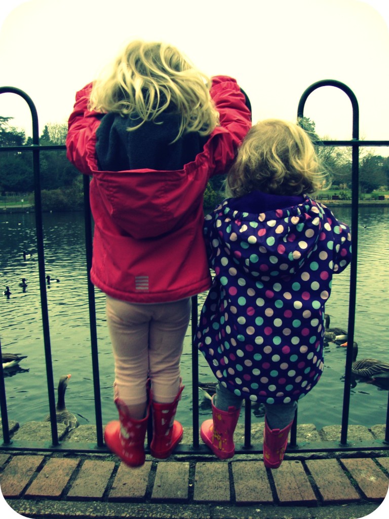 feeding the ducks at Kelsey Park
