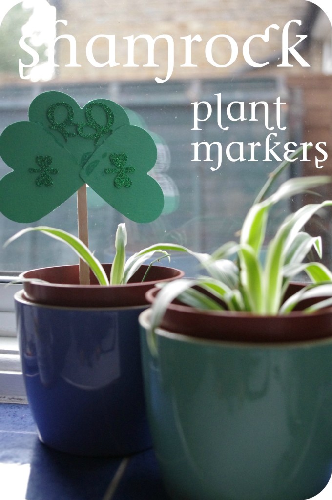 how to make shamrock plant marker