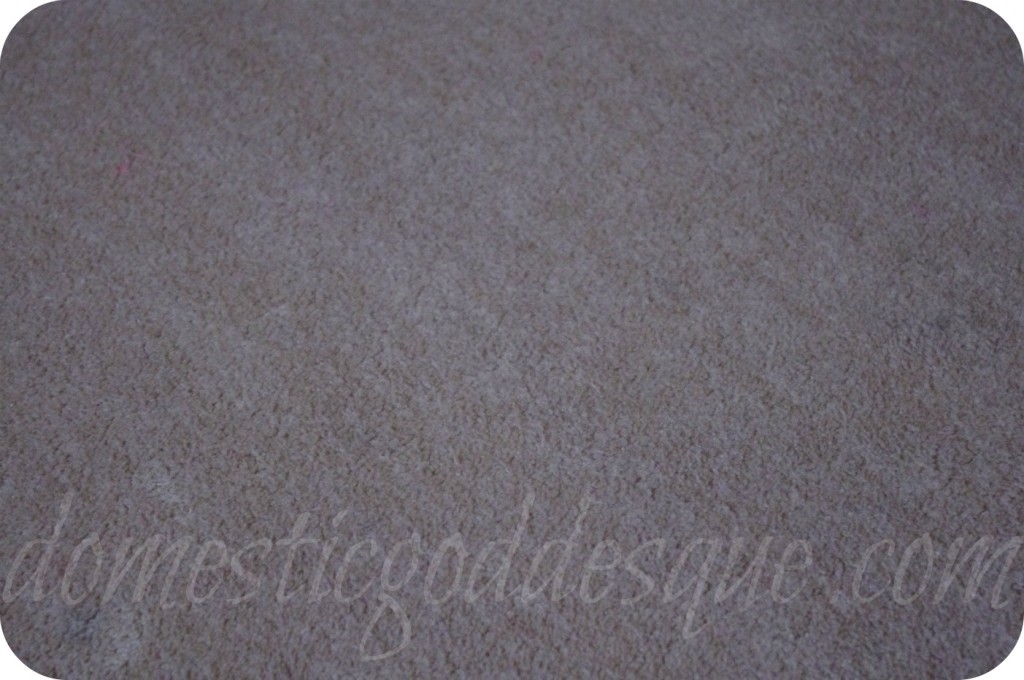 get stains out of carpets