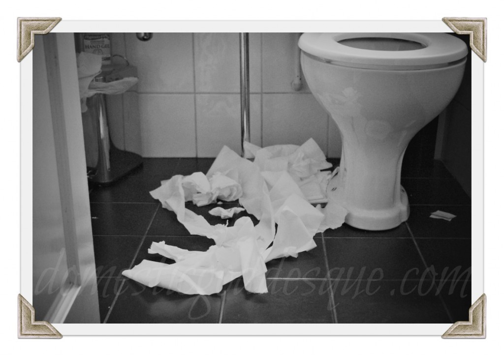 loo roll raider Andrex puppy