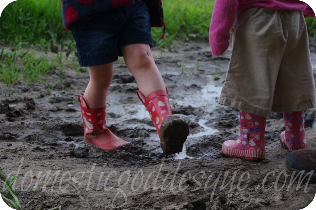 wellies wellies