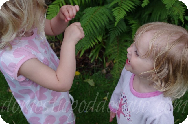 bug hunt