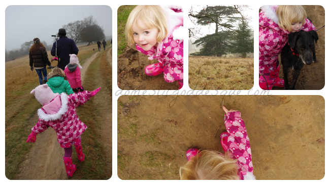 Knole Park Review