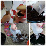center parcs sunflower seed planting