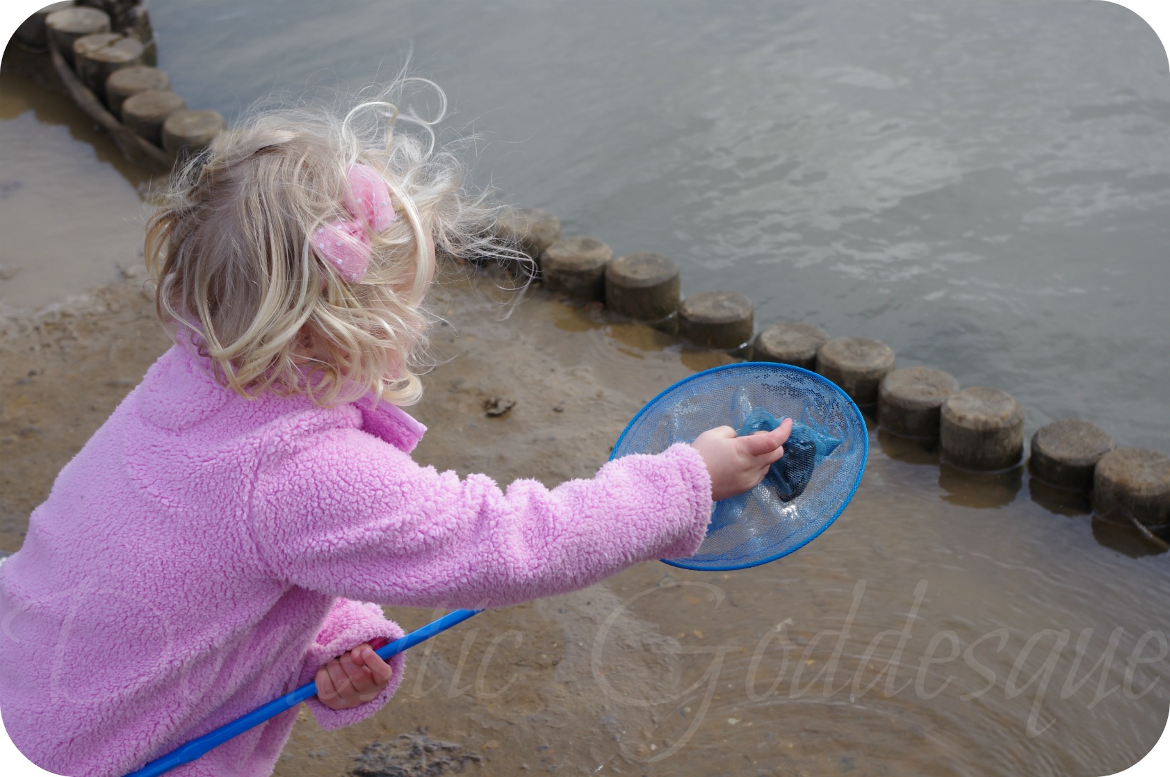 releasing crabs