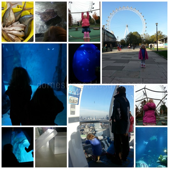 London Aquarium and London Eye review