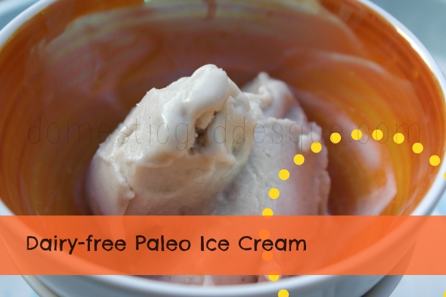 Dairy Free Paleo Ice Cream