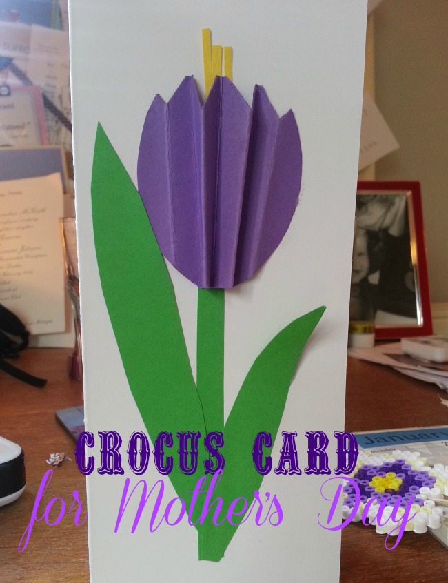 crocus card for Mother's Day